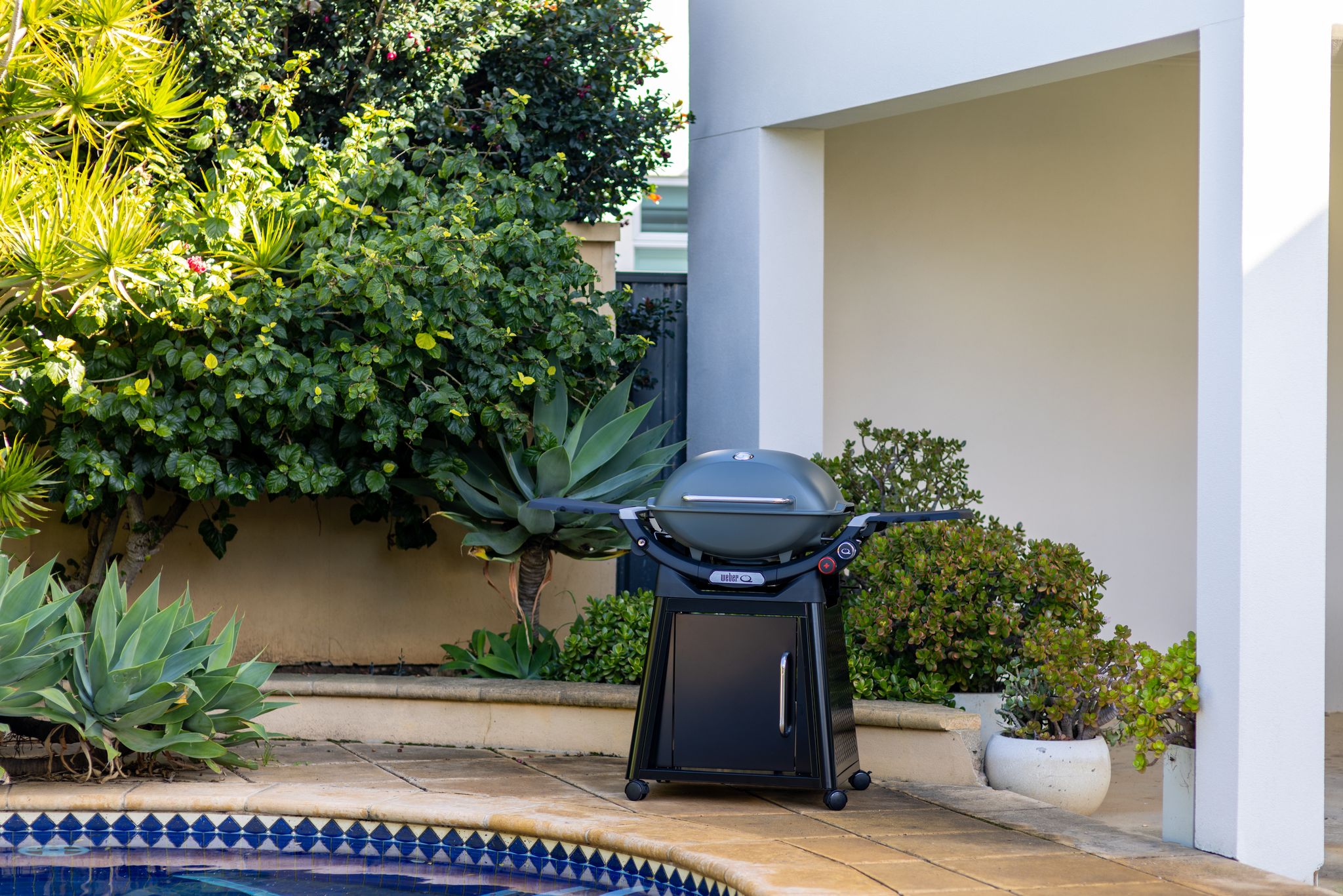 Weber Family Q+ Premium (Q3200N+) Sky Blue – Barbeques and More